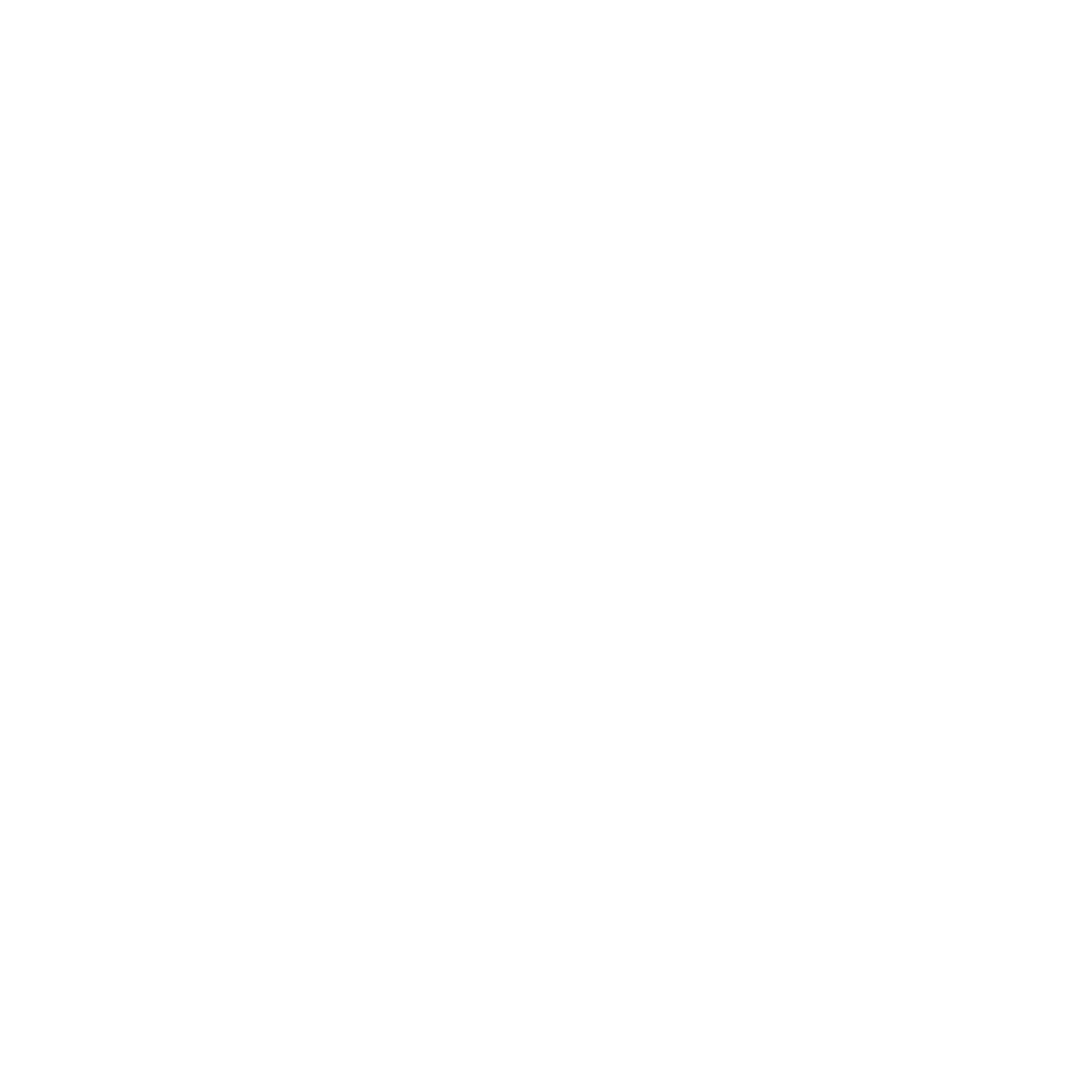 logo ttwins putih